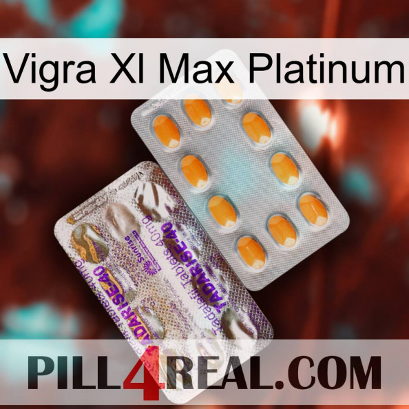 Vigra Xl Max Platinum new12.jpg